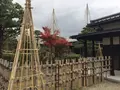 瑞龍寺の写真_241351