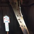 丸岡城の写真_241372