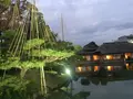 養浩館庭園の写真_241393