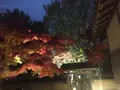 養浩館庭園の写真_241398