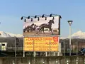 ヴィノーヴォ競馬場の写真_241561