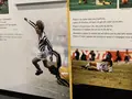 Juventus Museumの写真_241579