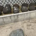 櫛田神社の写真_241756