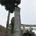太宰府天満宮の写真_241763