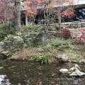 竈門神社の写真_241775