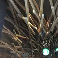 スターバックスコーヒー 太宰府天満宮表参道店（STARBUCKS COFFEE）の写真_241778
