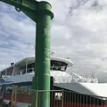 相島の写真_241860