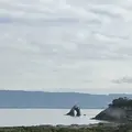 相島の写真_241879