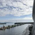 相島の写真_241880