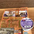 相島の写真_241883