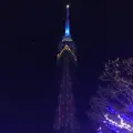 福岡タワーの写真_241914