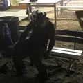 シーサイドももち海浜公園の写真_241930