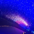 はままつフラワーパークの写真_241934