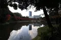 小石川後楽園の写真_241960