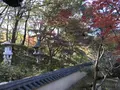 県立 三ツ池公園の写真_242100