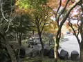 県立 三ツ池公園の写真_242102