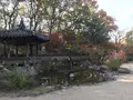 県立 三ツ池公園の写真_242103