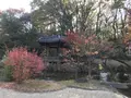 県立 三ツ池公園の写真_242106