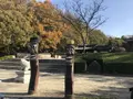 県立 三ツ池公園の写真_242107