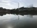 県立 三ツ池公園の写真_242121