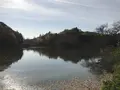 県立 三ツ池公園の写真_242122