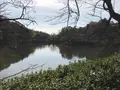 県立 三ツ池公園の写真_242128