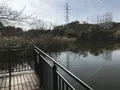 県立 三ツ池公園の写真_242131