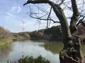 県立 三ツ池公園の写真_242133