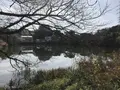 県立 三ツ池公園の写真_242134