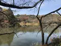 県立 三ツ池公園の写真_242135