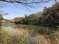 県立 三ツ池公園の写真_242138