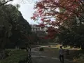 県立 三ツ池公園の写真_242139