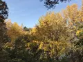 県立 三ツ池公園の写真_242144