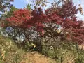 県立 三ツ池公園の写真_242146