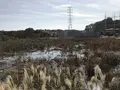 県立 三ツ池公園の写真_242147