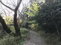 県立 三ツ池公園の写真_242148