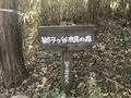 みその公園「横溝屋敷」の写真_242171