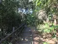 みその公園「横溝屋敷」の写真_242174