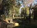 みその公園「横溝屋敷」の写真_242176