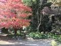 みその公園「横溝屋敷」の写真_242181
