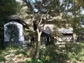 みその公園「横溝屋敷」の写真_242184