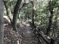 みその公園「横溝屋敷」の写真_242185