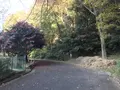 みその公園「横溝屋敷」の写真_242191