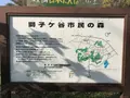 みその公園「横溝屋敷」の写真_242192