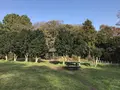 みその公園「横溝屋敷」の写真_242194