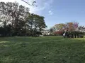 みその公園「横溝屋敷」の写真_242195