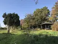みその公園「横溝屋敷」の写真_242196