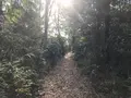 みその公園「横溝屋敷」の写真_242199