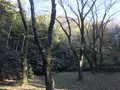 みその公園「横溝屋敷」の写真_242205