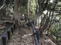 みその公園「横溝屋敷」の写真_242206